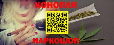гидропоника Будённовск